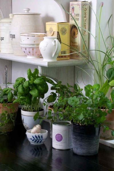 Kitchen Garden